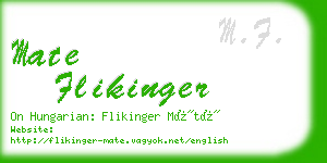 mate flikinger business card